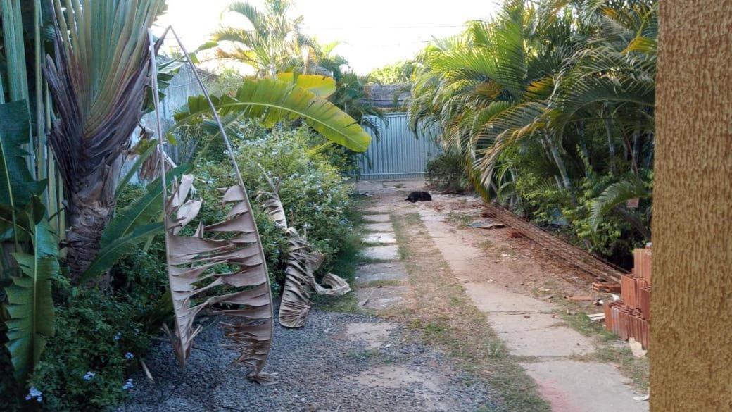 Zen Villas - Chales, Bem-Estar E Conexao Com A Natureza Lauro de Freitas Dış mekan fotoğraf
