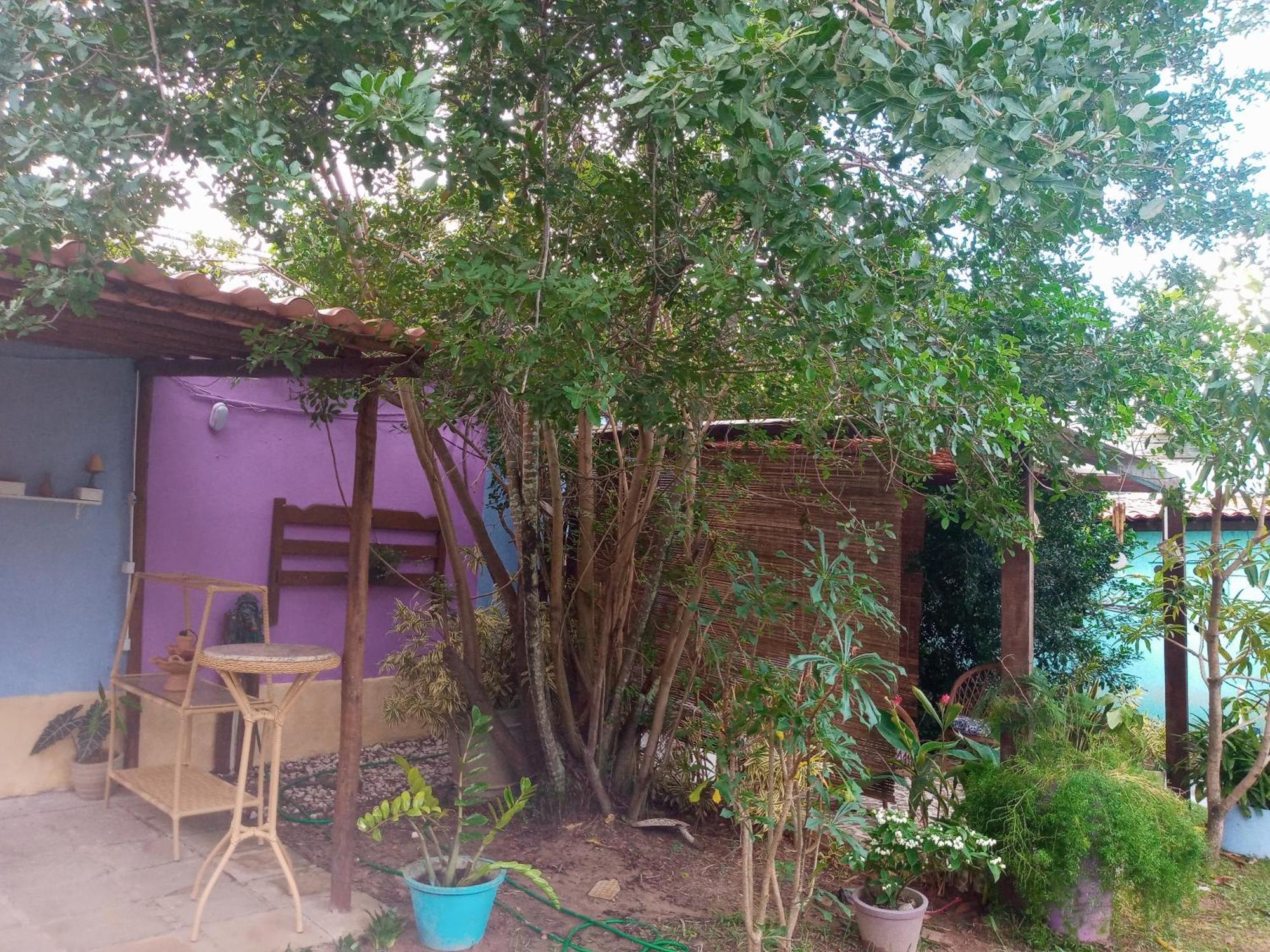 Zen Villas - Chales, Bem-Estar E Conexao Com A Natureza Lauro de Freitas Dış mekan fotoğraf