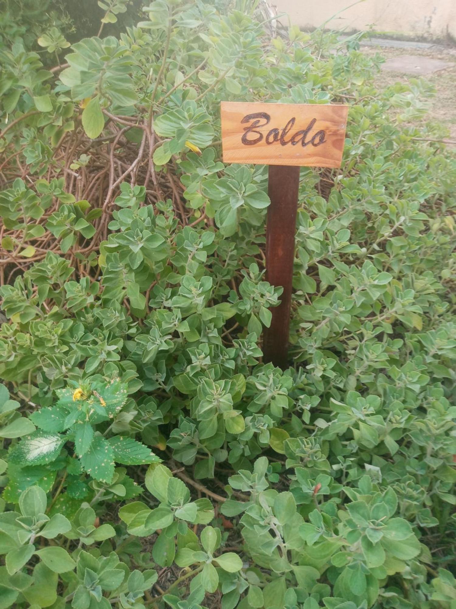 Zen Villas - Chales, Bem-Estar E Conexao Com A Natureza Lauro de Freitas Dış mekan fotoğraf